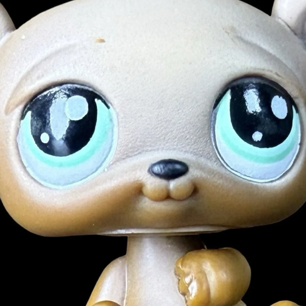 Hasbro Littlest Pet Shop LPS #1001 Bear Teal Eyes